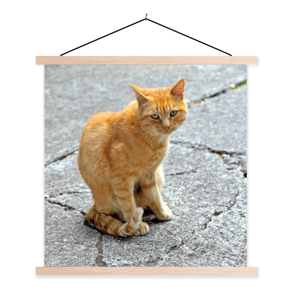 MuchoWow Textilposter Katze - Rot - Straße - Mädchen - Kinder - Jungen - Kind 60x60 cm mit holzfarbenen Rahmen - Wanddekoration