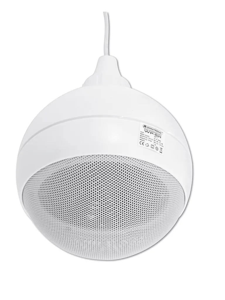 Haut-parleur de plafond pour grands espaces et hauts plafonds ELA - 3
