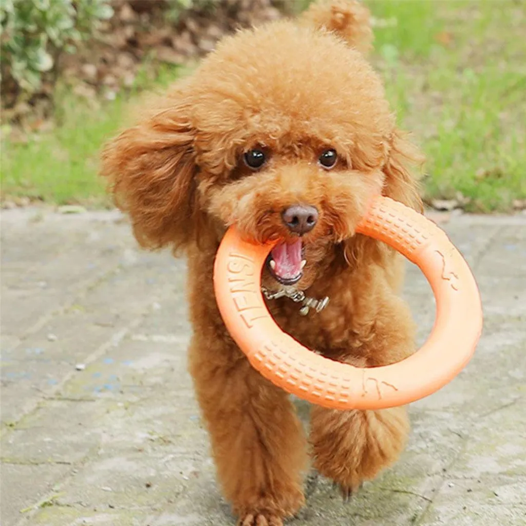 Anello per Cani in EVA S INF: Il Gioco Galleggiante per il Tuo Cucciolo - 5
