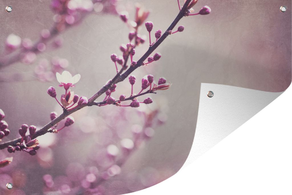 MuchoWow 90x60 cm Outdoor-Poster Gartendeko Sichtschutz Garten Poster für den Garten Nahaufnahme der violetten Blüten einer Sakura