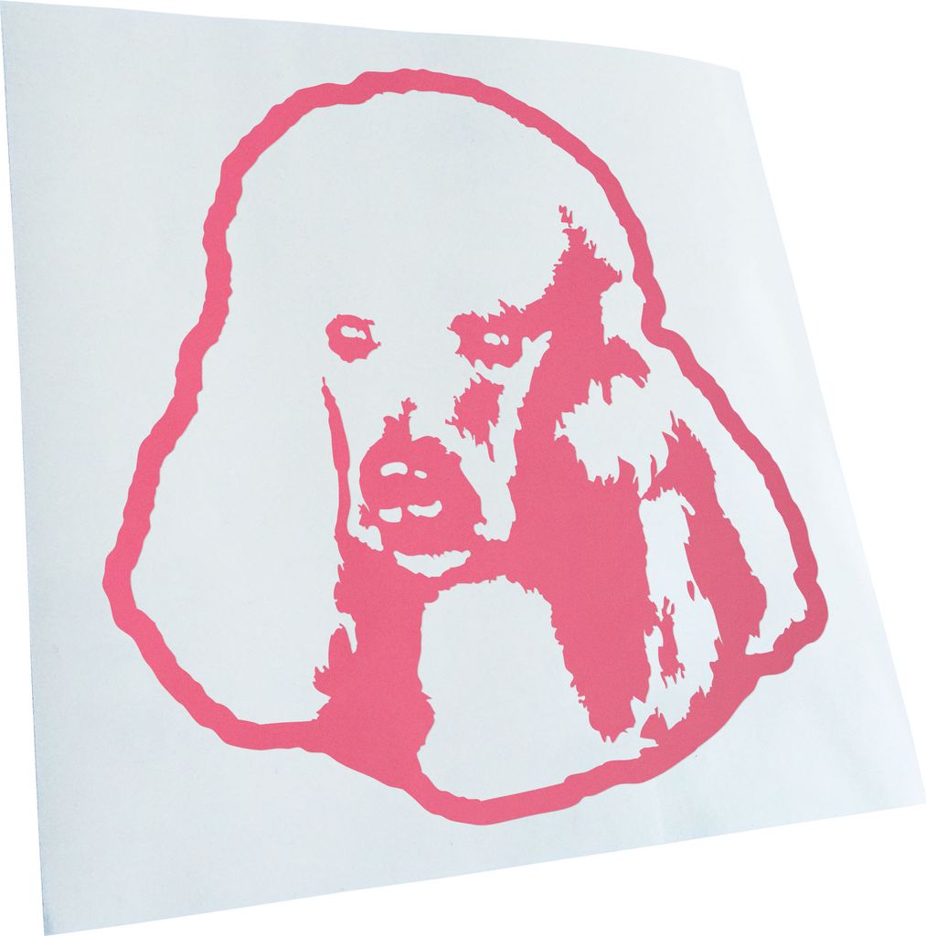 Kiwistar - Autoaufkleber - Poodle Hund - Hellrosa - 40x36cm - Aufkleber für Auto, Laptop, Fahrrad, LKW, Motorrad Mehrfarbig JDM Decal Racing