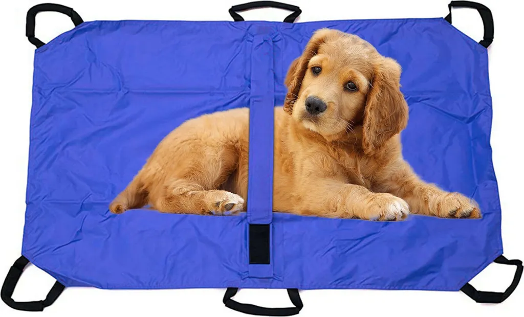 Brancard pliable pour chien 132lb avec ceinture de sécurité en nylon