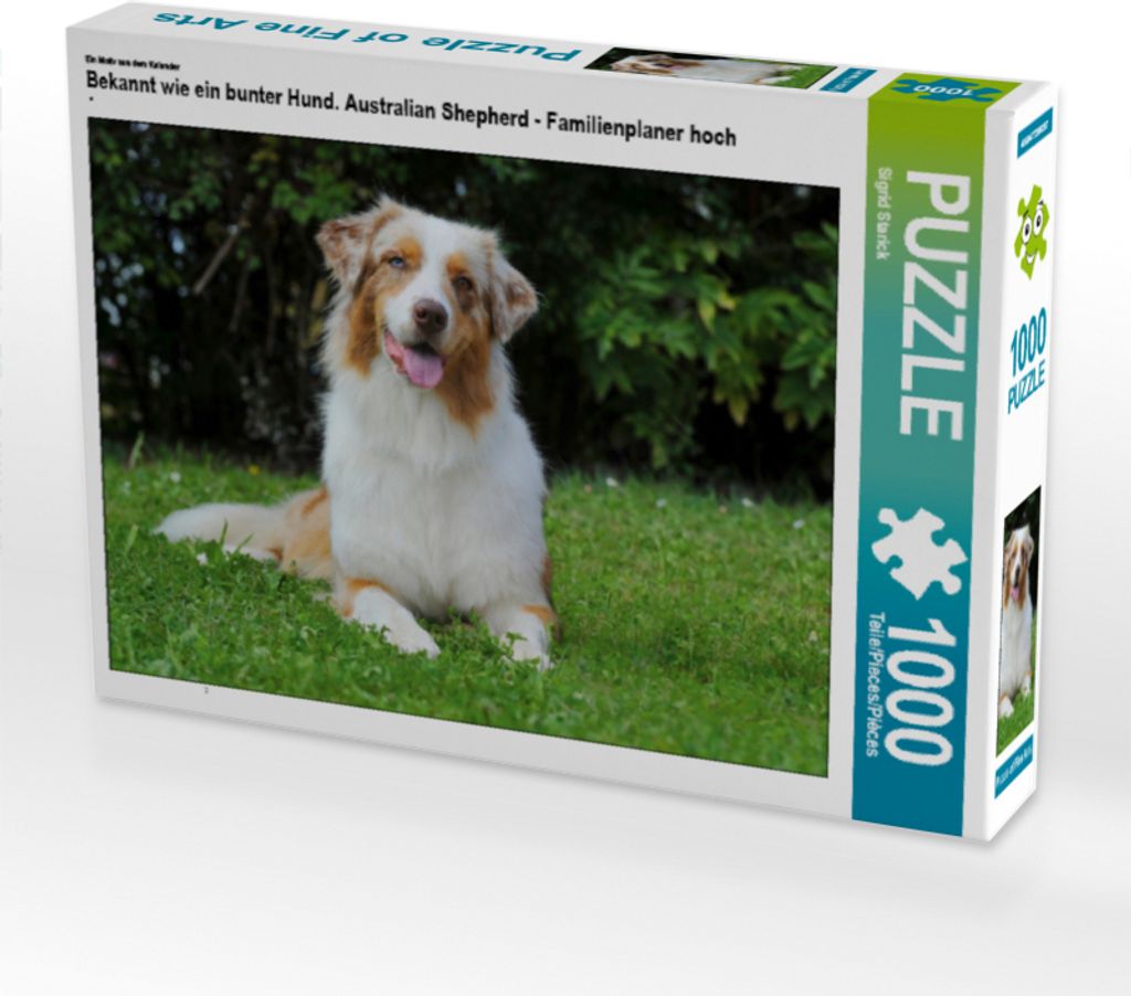 CALVENDO Puzzle Ein Motiv aus dem Kalender Bekannt wie ein bunter Hund. Australian Shepherd - Familienplaner hoch | 1000 Teile Lege-Größe 64x48cm...