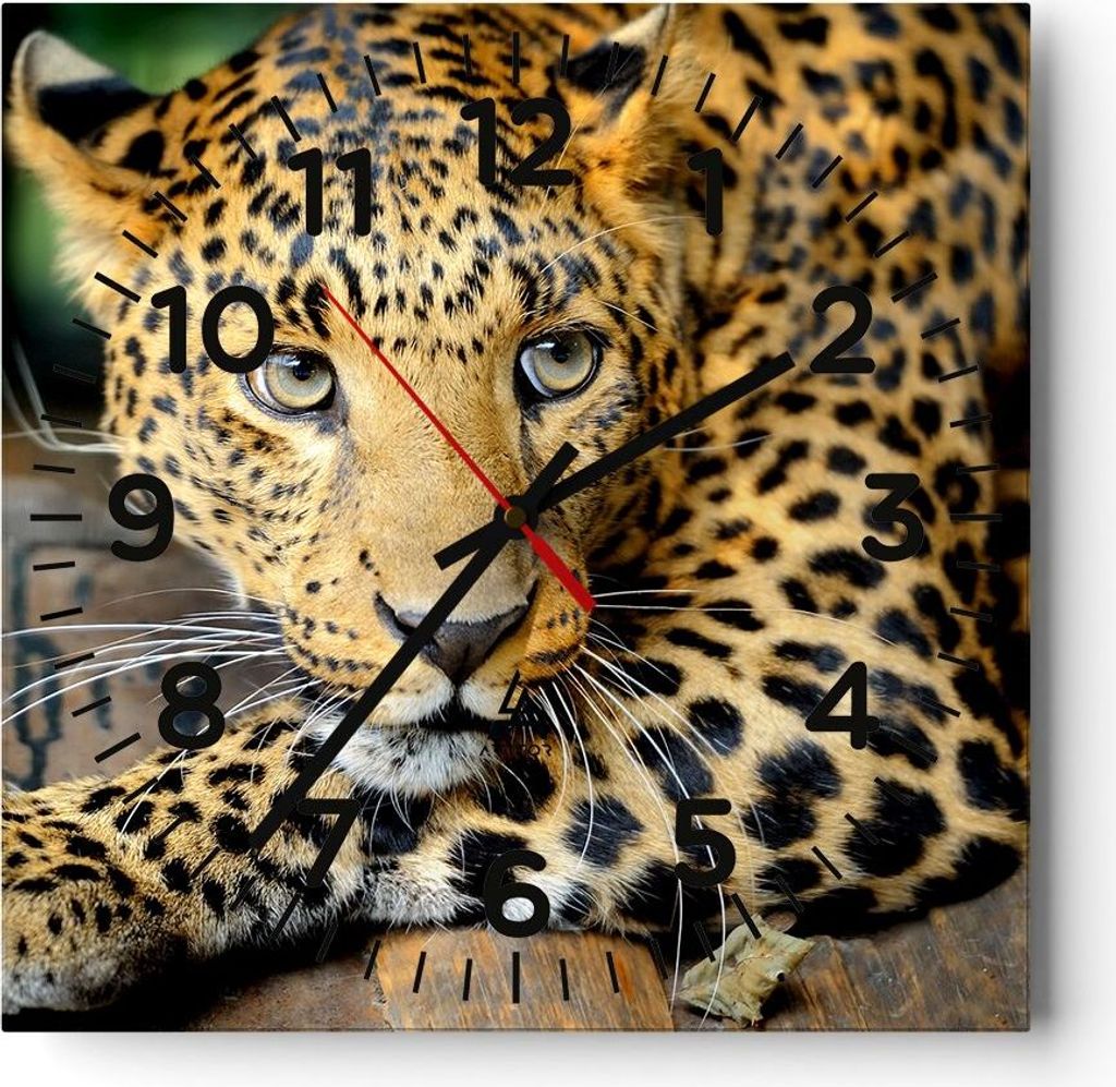 Wanduhr - Quadrat - Glasuhr - Tiere gefährlich wilde katze - 40x40cm - Schleichendes Uhrwerk - Lautlos - zum Aufhängen bereit - Dekoration Modern...