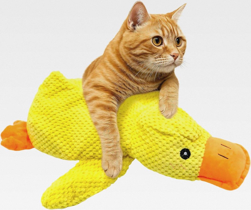 Katzenminze Spielzeug Ente, Weiches Katzen Spielzeug Kitten mit Katzengras, Knabbern & Zahnreinigung, Robustes Anti-Stress Spielzeug für Katze und...