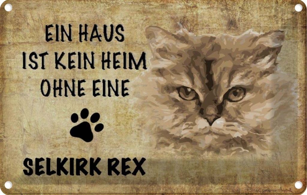 vianmo Blechschild 20x30 cm Selkirk Rex Katze ohne kein Heim Tier Haustier