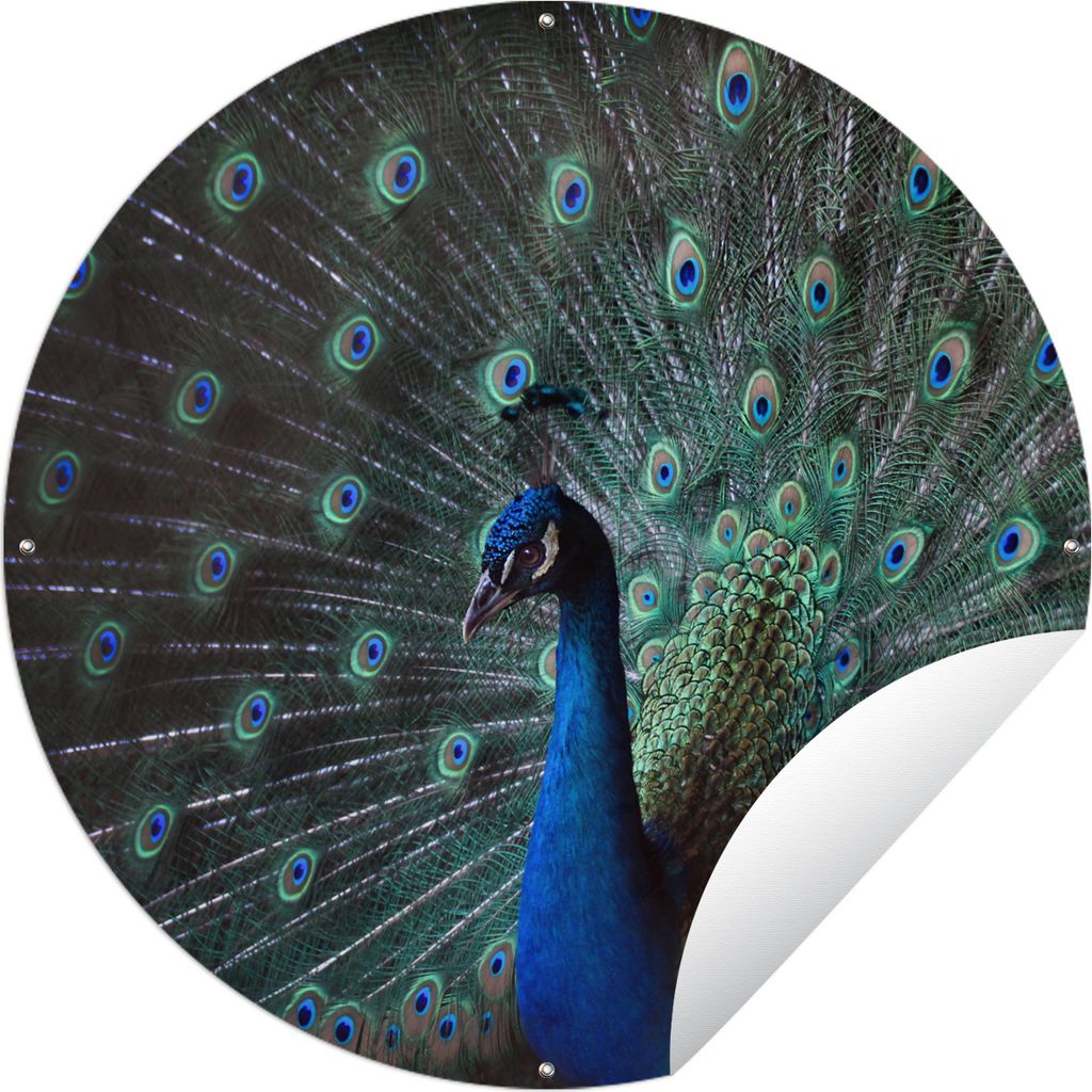MuchoWow Gartenposter Outdoor-Poster Rund Pfau - Federn - Farben Ø 60 cm Gartendeko Rundes Poster draußen