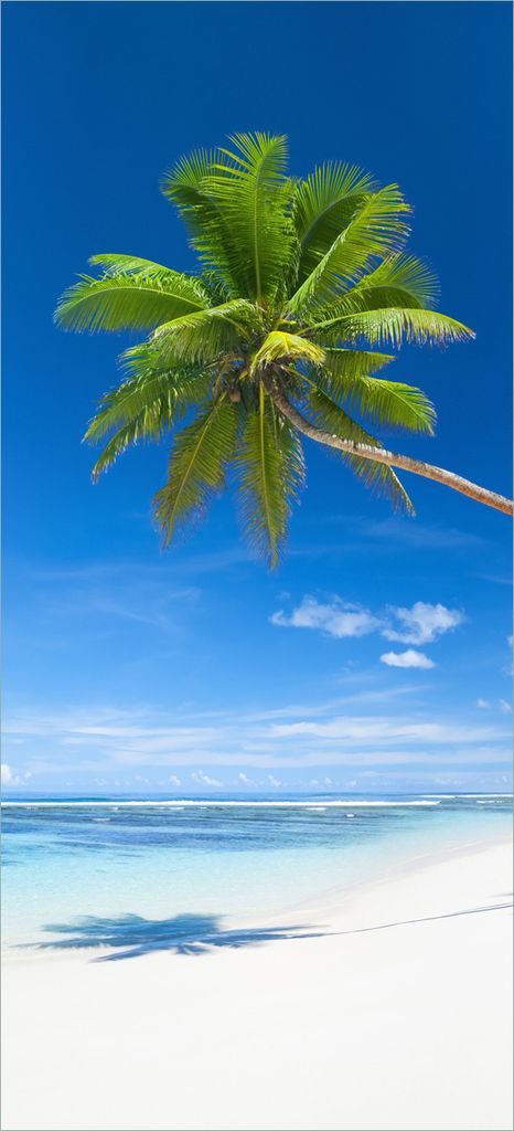 Türtapete Türposter Weißer Sandstrand am Meer - Ein Traum unter Palmen - Größe: 93 x 205 cm