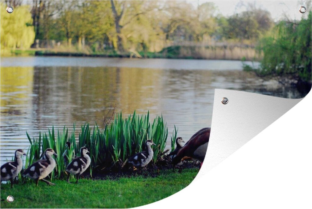 MuchoWow 90x60 cm Outdoor-Poster Gartendeko Sichtschutz Garten Poster für den Garten Ente im Vondelpark in Amsterdam