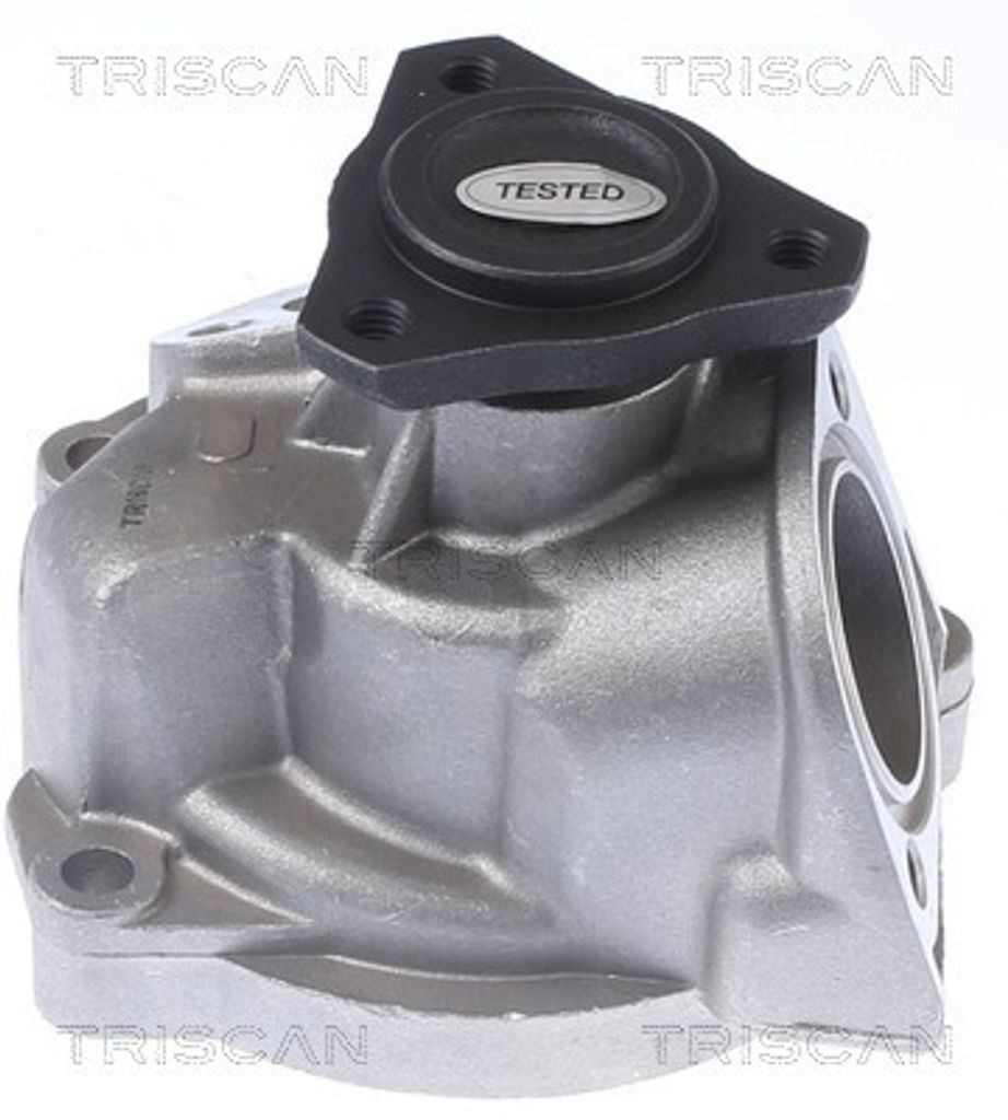 TRISCAN Wasserpumpe 8600 29896