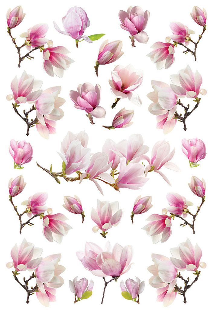 Sanders & Sanders Wandtattoo Blüte Rosa 42.5 x 65 cm