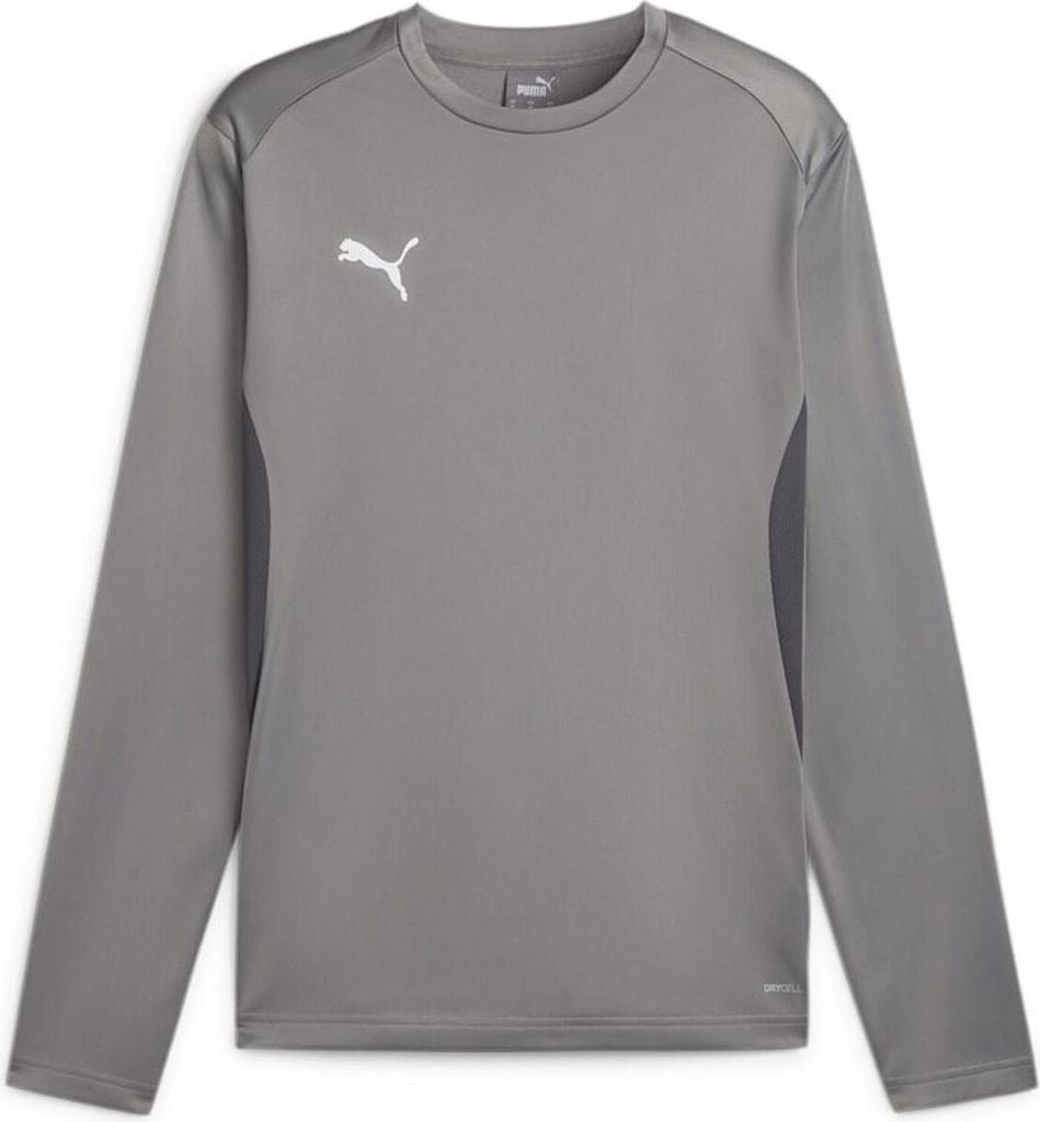 Puma Teamgoal Trainingssweat Herren - Grau