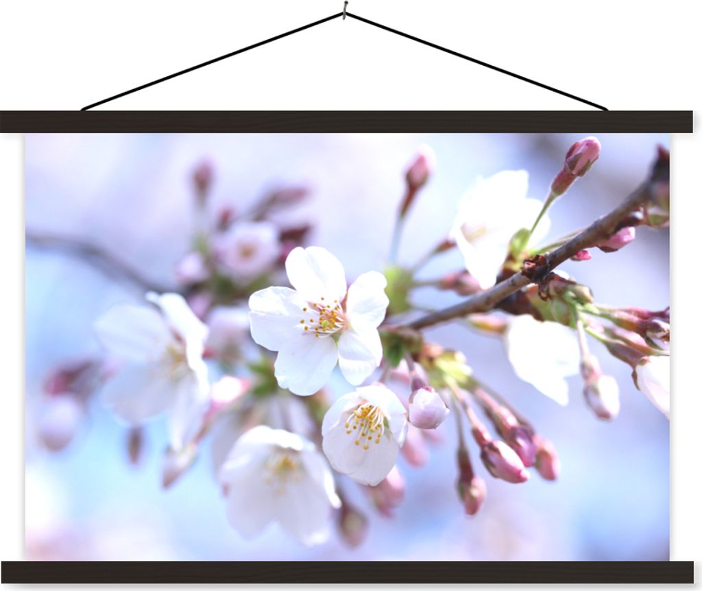 MuchoWow Textilposter Blumen - Sakura - Zweig - Blütendolden 60x40 cm mit schwarzem Rahmen - Hölzernes