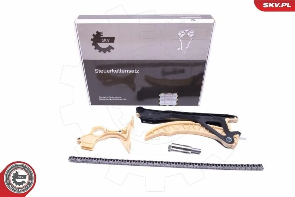 Solution Bruit Moteur : Chaîne de Distribution BMW E90 E46 21SKV146