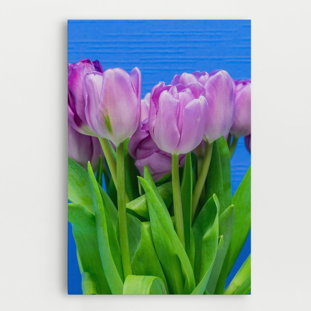 ARTHUB Leinwandbild 30x40 cm, Purple Tulips On Blue | Wohnzimmerdekoration, Hängende Bilder, Wanddekoration, Heimdekoration, Blumen, Tulpen