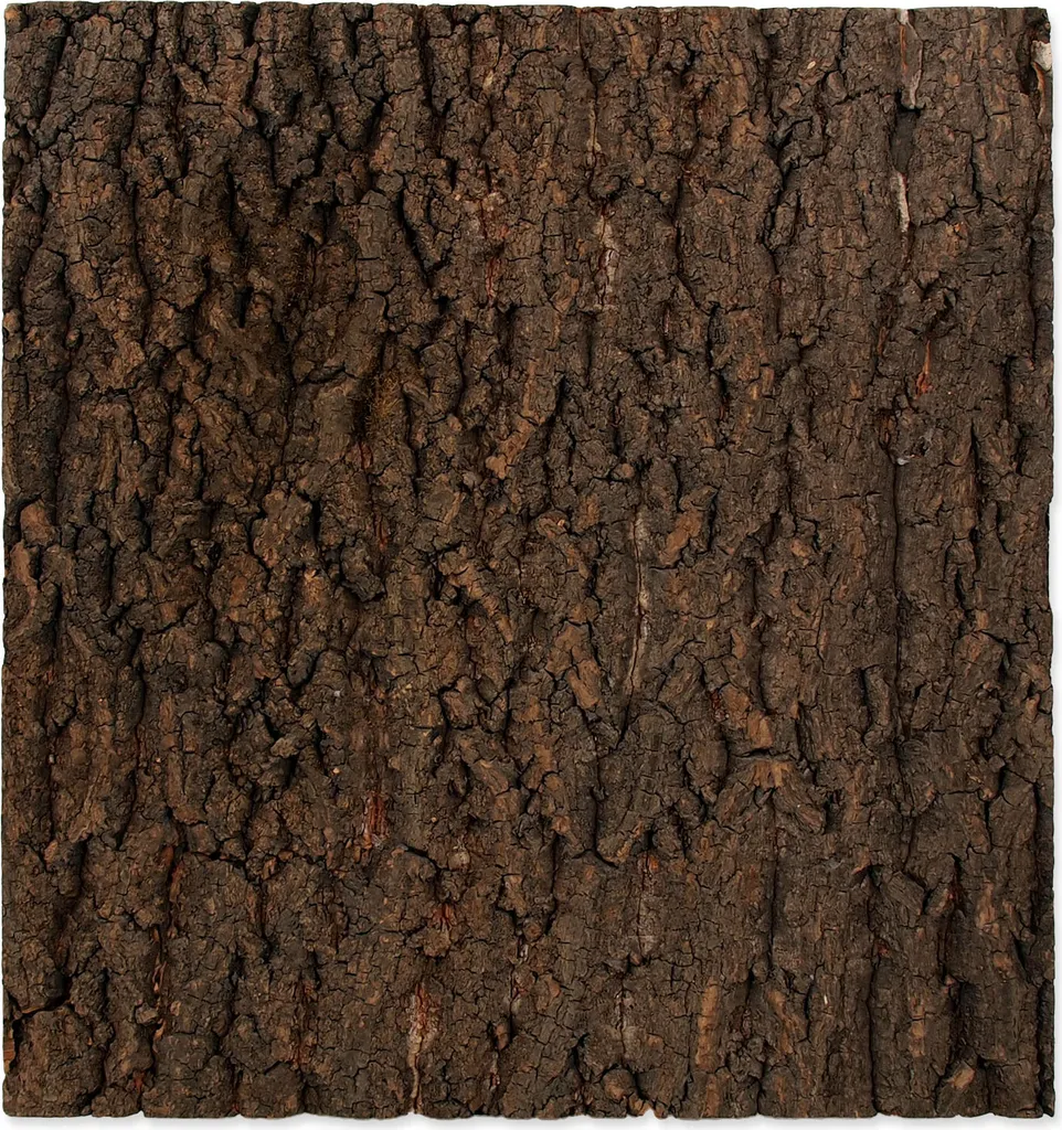 Sfondo in sughero naturale 43,5 x 41 x 2 cm 1 pezzo