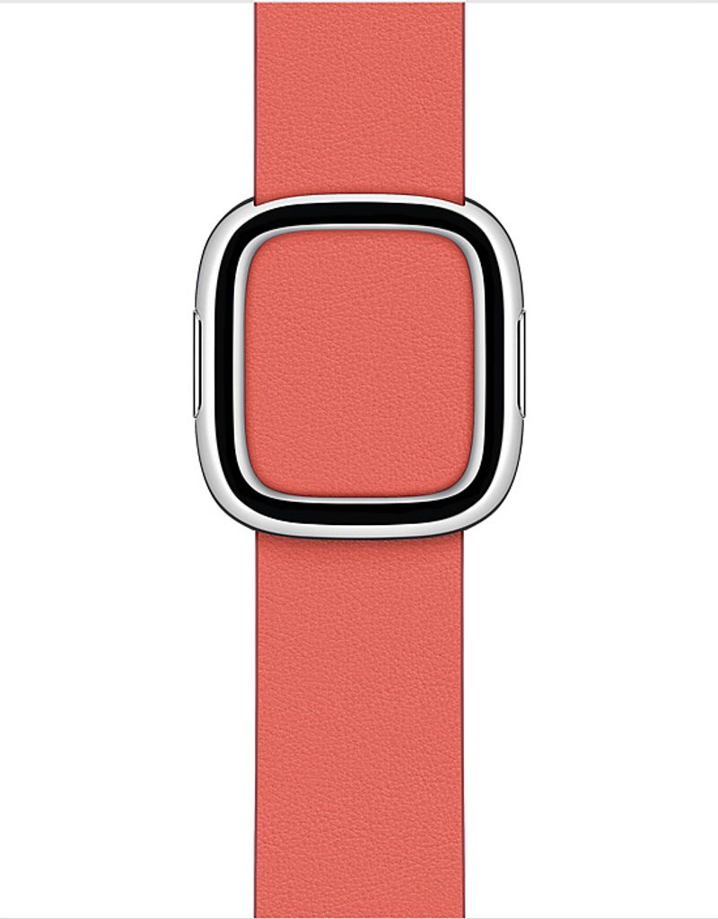 Apple Modern Buckle Apple Watch large 38mm / 40mm / 41mm Produktbild 