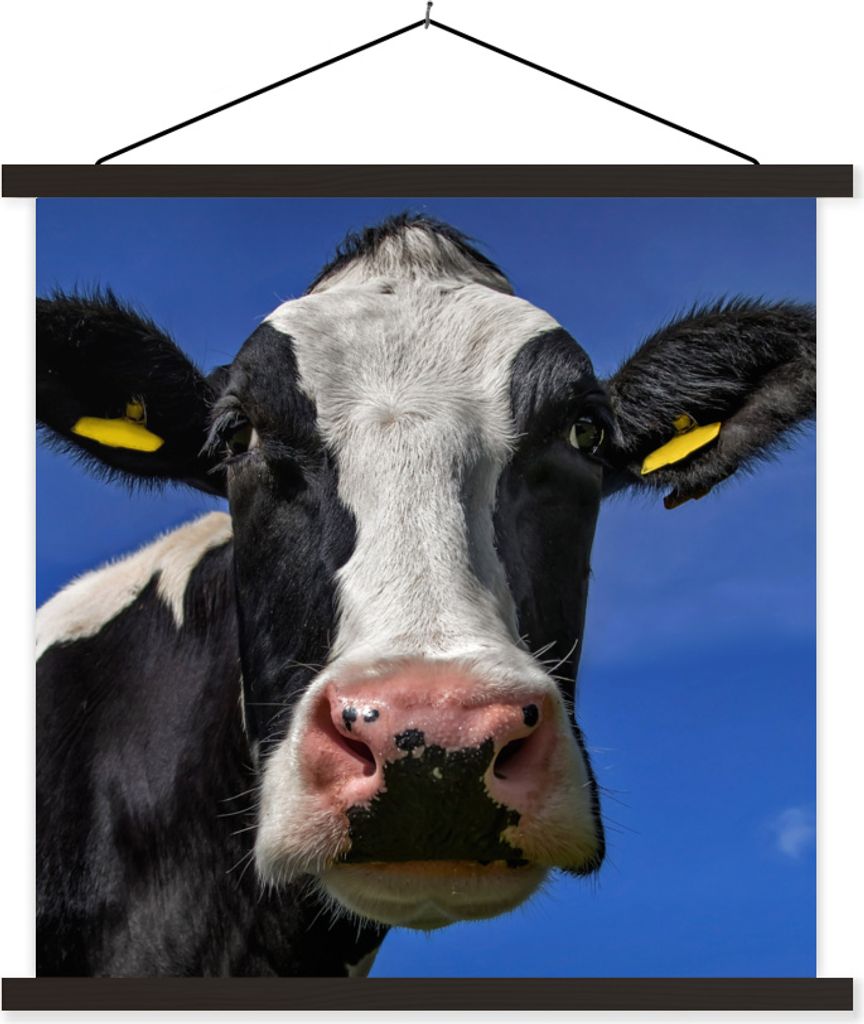 MuchoWow Textilposter Kuh - Blau - Tiere 90x90 cm mit schwarzem Rahmen - Magnetisches