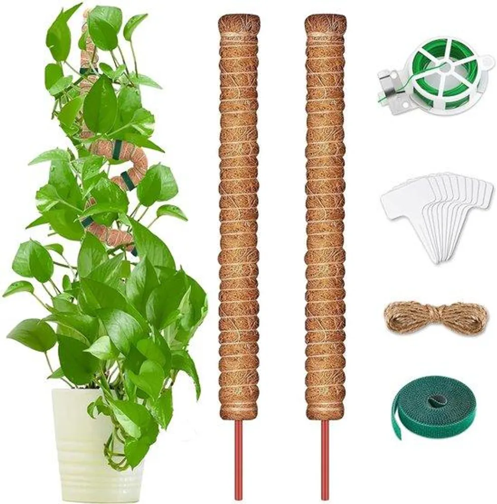 Piquets en coco 100 cm : évitez l'affaissement de vos plantes, lot de 2