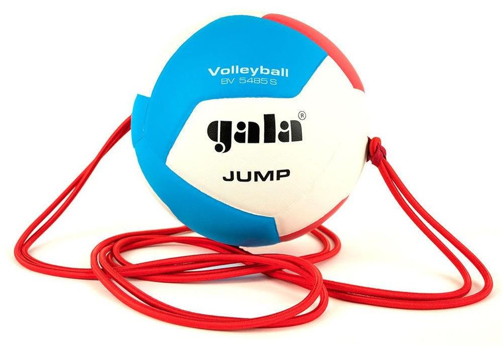 Pallavolo Salto Palla Gala Bv5485s Immagine del prodotto 