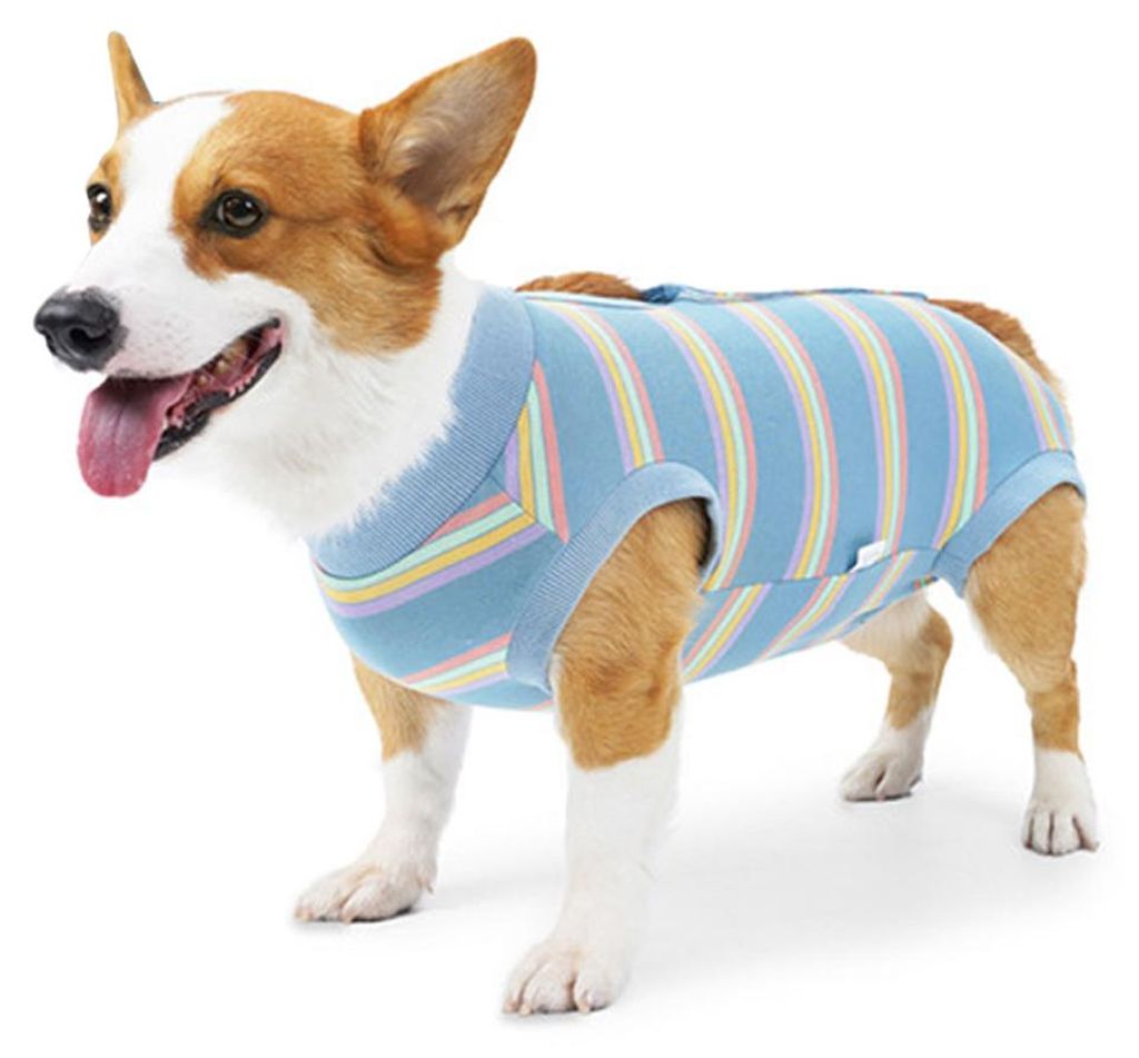 1 Stück Hundebekleidung für große und mittelgroße Hunde. Postoperative Genesungsbekleidung nach Sterilisation, Größe L