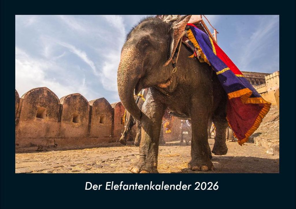 Der Elefantenkalender 2026 Fotokalender - Querformat DIN A4, Monatskalender mit Bild-Motiven von Haustieren, Bauernhof, wilden Tieren und Raubtieren