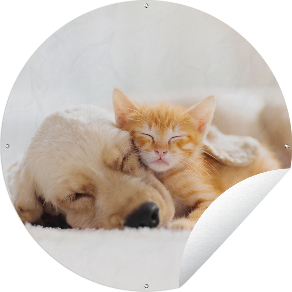 MuchoWow Gartenposter Outdoor-Poster Rund Tiere - Hund - Kätzchen - Rot Ø 90 cm Gartendeko Rundes Poster draußen
