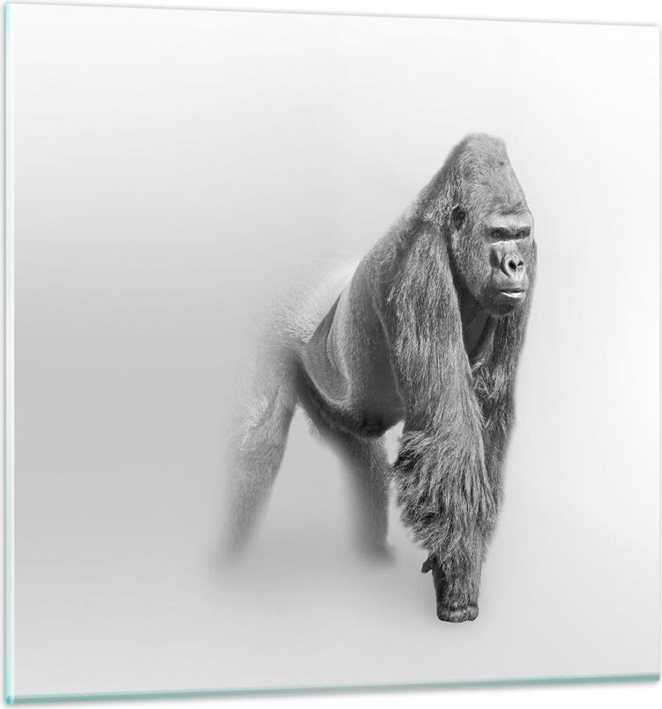Bilder auf glas - Orang-Utan Tier - 40x40cm - Glasbilder - Wandbilder - Kunstdruck - zum Aufhängen bereit - Wanddekoration aus Glas - Glas Bilder ...