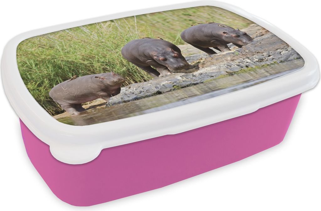 KitchenYeah Lunchbox Brotzeit Brotdose 17x11 cm Flusspferde - Wasser - Südafrika Kinder Brotzeitdose - Lunchpaket - Brotkasten - Sandwich Box