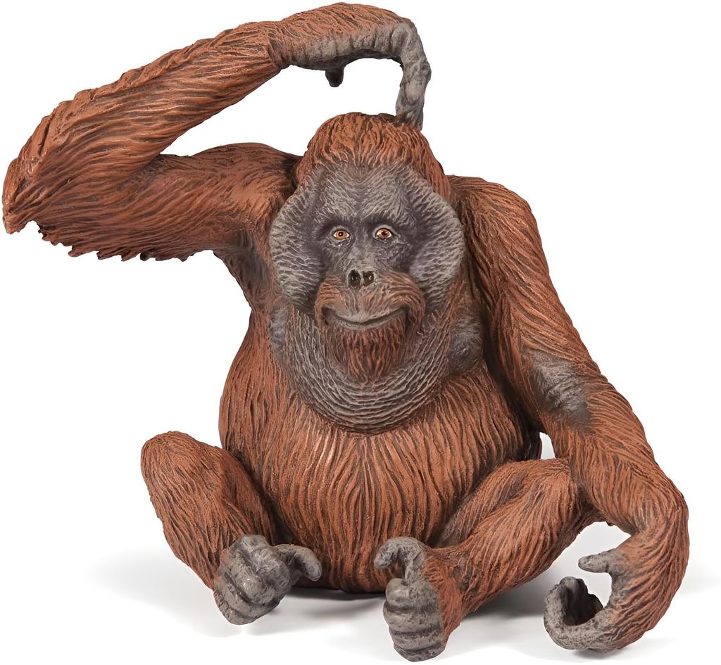 Papo Orang-Utan, 3 Jahr(e), Wild animal kingdom, Braun, PVC Produktbild 