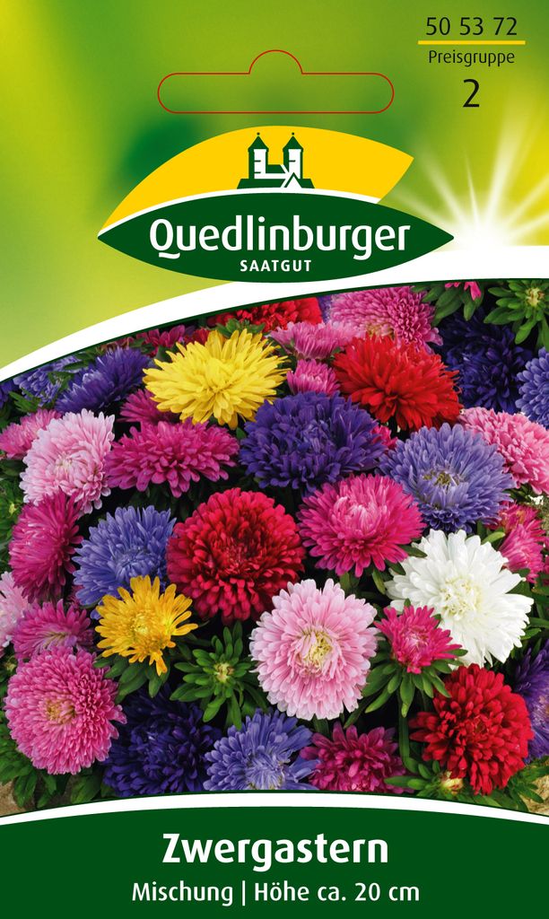 Aster Zwerg Mischung Quedlinburger Blumensamen Produktbild 