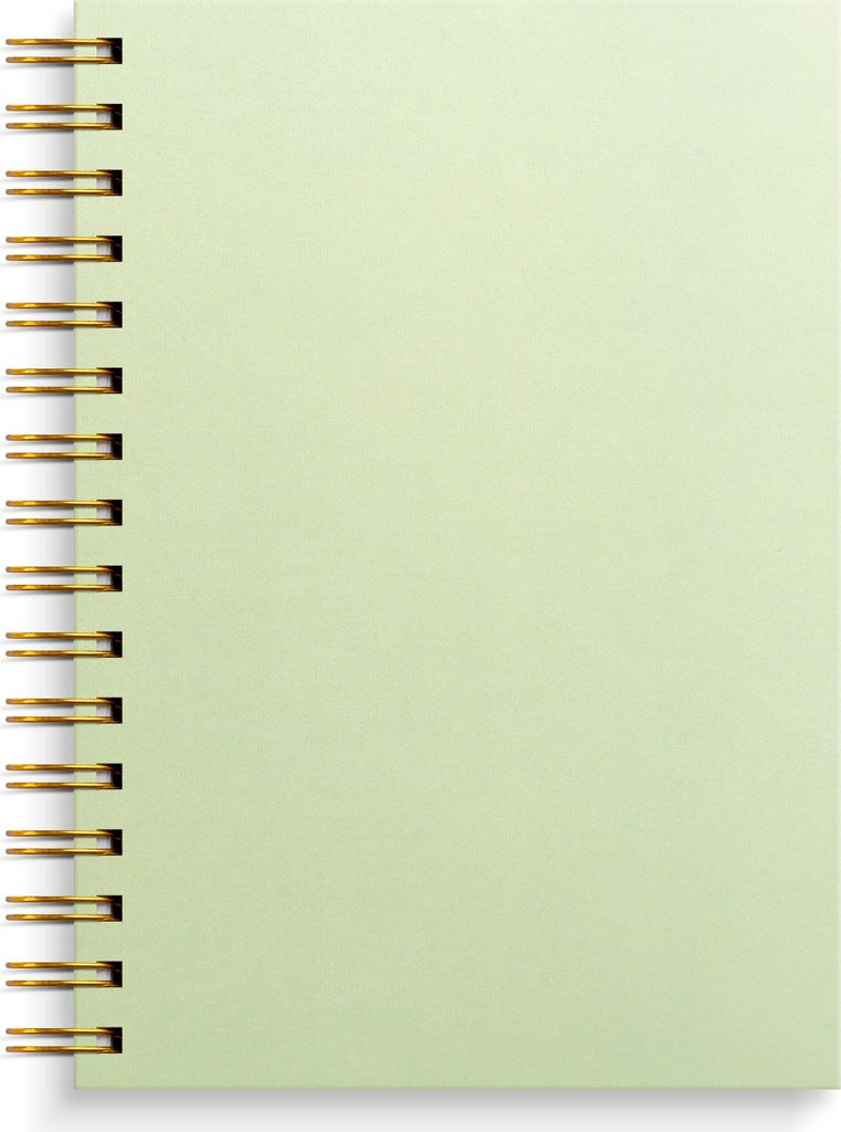 Burde Notizbuch A5 grün, 300 Seiten, 70 g Papier, spiralgebunden, Kartoneinband