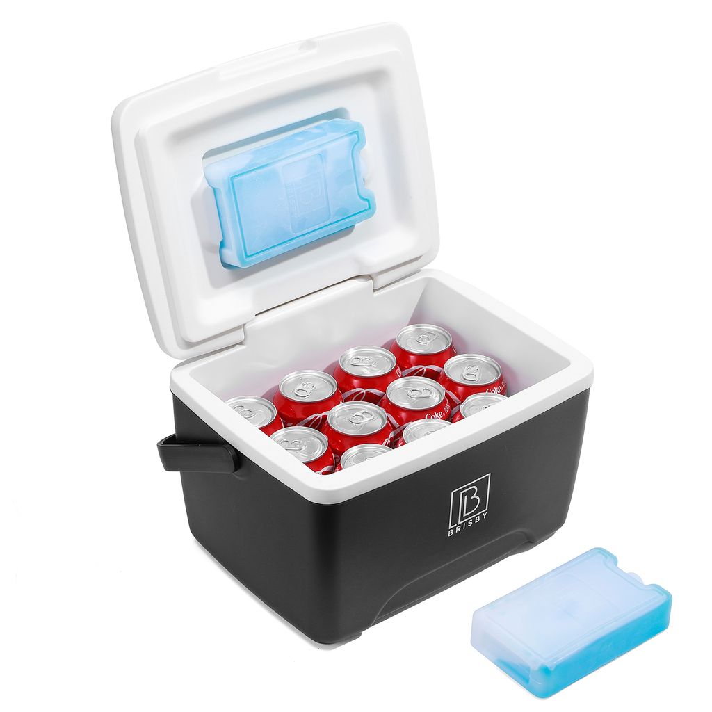Brisby Kühlbox 8L – 2 Kühlelemente – Deckel integriert – Produktbild 