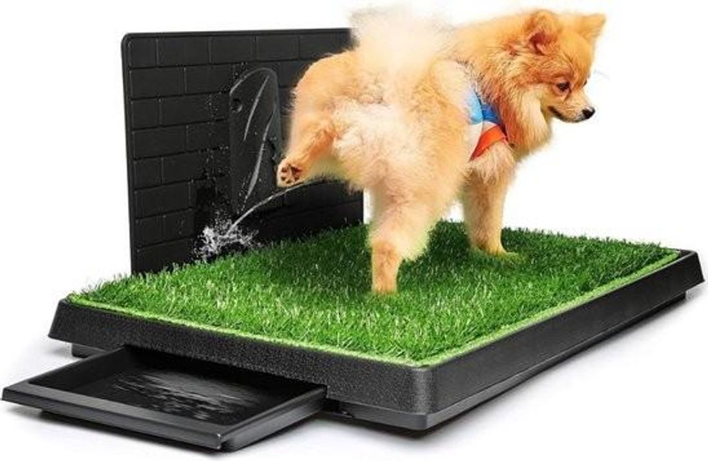 Toilette per cani in erba sintetica – anti-odore – per Immagine del prodotto 