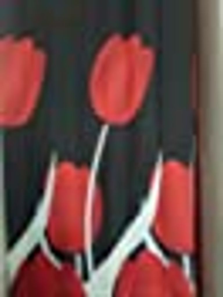 Bunter Duschvorhang 180x200 Anti-Schimmel Anti-Bakteriell Textil waschbar wasserabweisend schimmelresistent incl.Ringe Tulipani