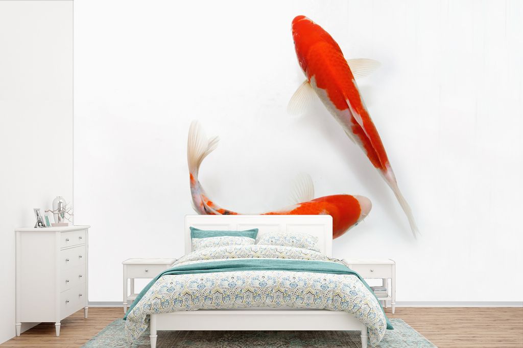 MuchoWow Fototapete für Wohnzimmer oder Schlafzimmer Wandtapete Vinyl Motivtapete Zwei orangefarbene Koi-Karpfen vor einem weißen Hintergrund -...
