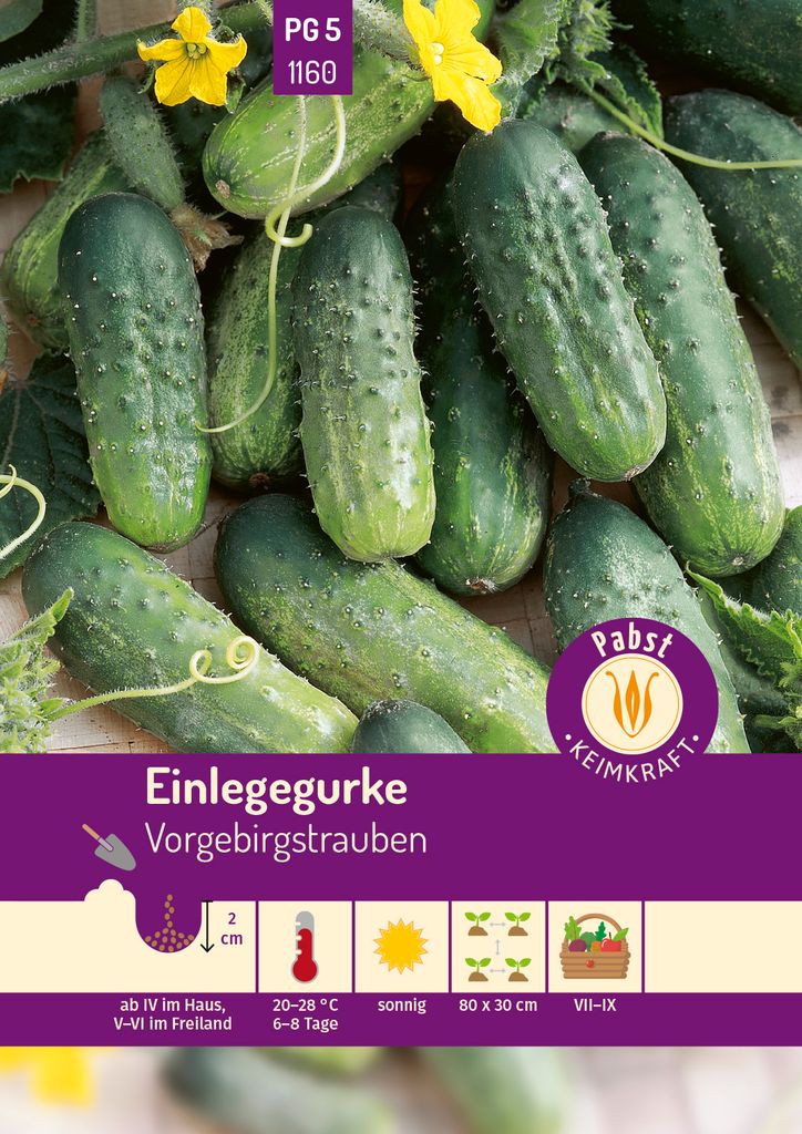 Pabst Keimkraft - Einlegegurke kurz & oval Produktbild 