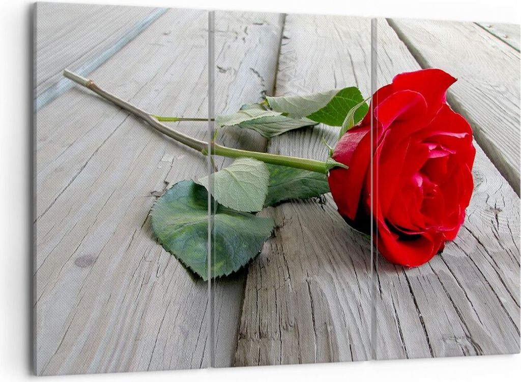 Bild auf Leinwand - Leinwandbild - Blume Holz Pflanze - 105x70cm - Wand Bild - Wanddeko - Leinwanddruck - Bilder - Kunstdruck - Wanddekoration - Le...