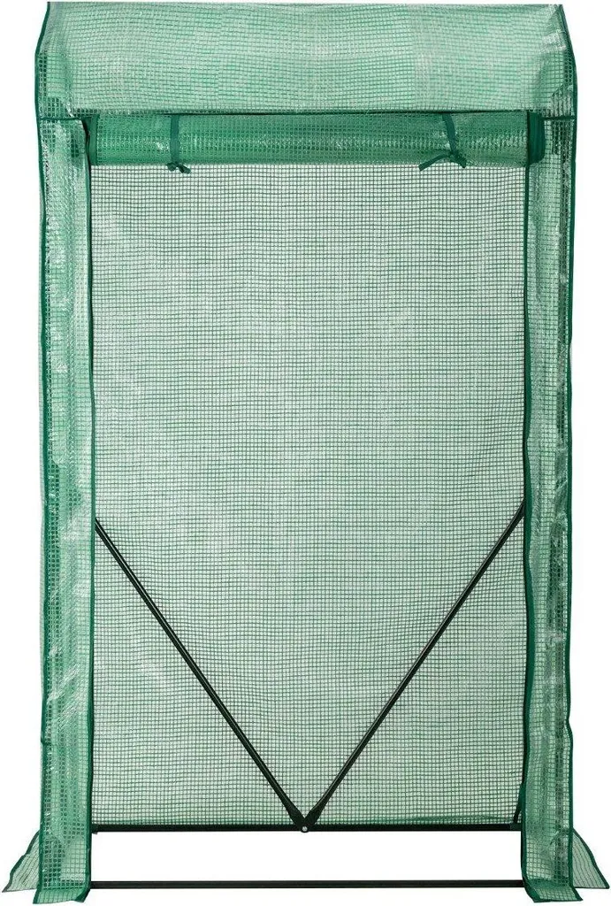 Serre de jardin pour tomates et semis 100 x 50 x 170 cm de plain-pied