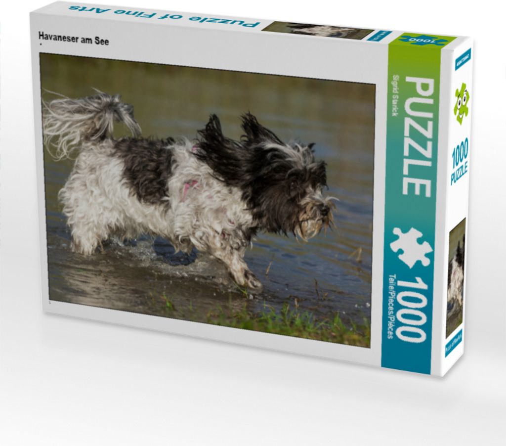 CALVENDO Puzzle Havaneser am See | 1000 Teile Lege-Größe 64x48cm Foto-Puzzle für glückliche Stunden