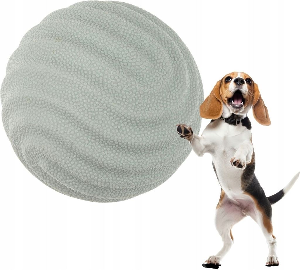 Hundespielzeug Lana Football stark mit einem schweren Gummi quietscht nicht