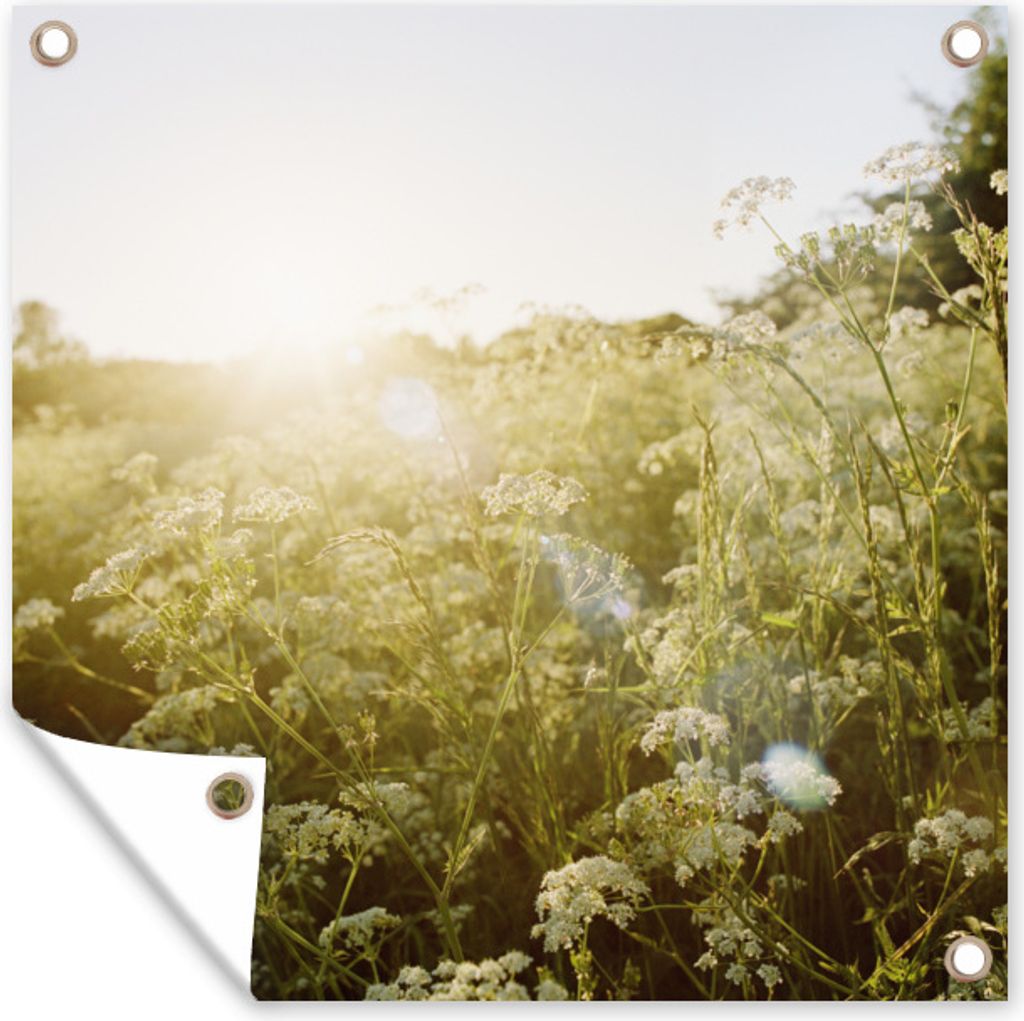 MuchoWow 100x100 cm Outdoor-Poster Gartendeko Sichtschutz Garten Poster für den Garten Blumen - Weiß - Frühling