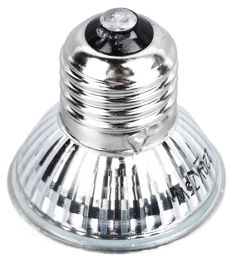 Lampe chauffante reptile 75W contre le coup de froid de la tortue