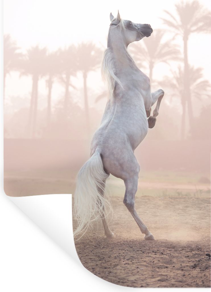 MuchoWow - Wierderverwendbar - Selbstklebend