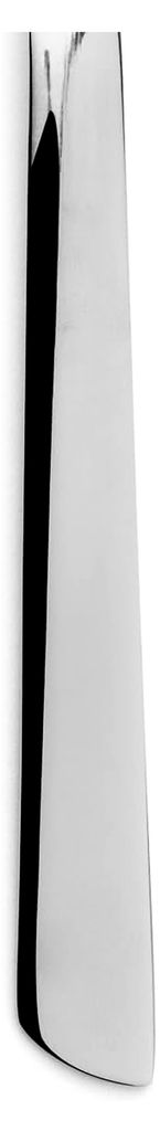 Teelöffel aus Edelstahl 18/10 Monoblock 220 mm - Robust und elegant für den täglichen Gebrauch - Serie Toscana