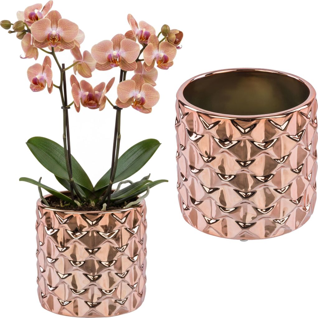 Keramik Blumentopf übertopf mit Roségold Spiegeleffekt Produktbild 
