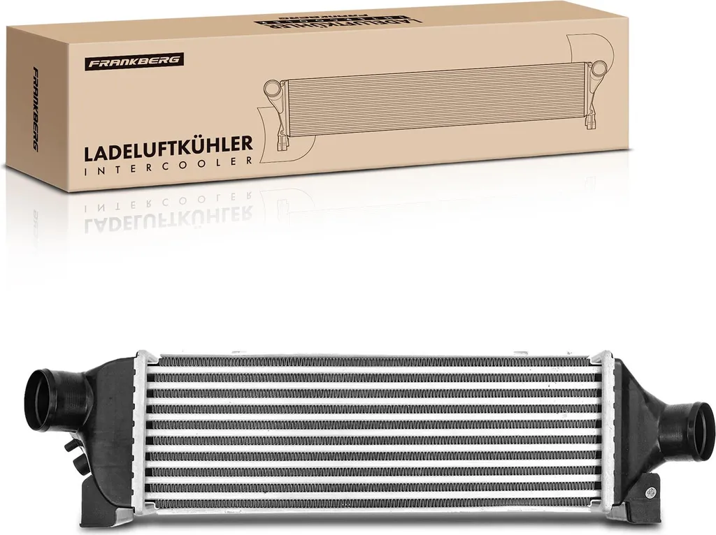 Réparer Perte de Puissance Ford Transit 2.0L - Refroidisseur d'Air Neuf