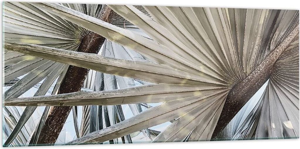 Bilder auf glas - Einteilig - Blatt Palme Natur - 120x50cm - Glasbilder - Wandbilder - Bilder - zum Aufhängen bereit - Wanddekoration aus Glas - G...