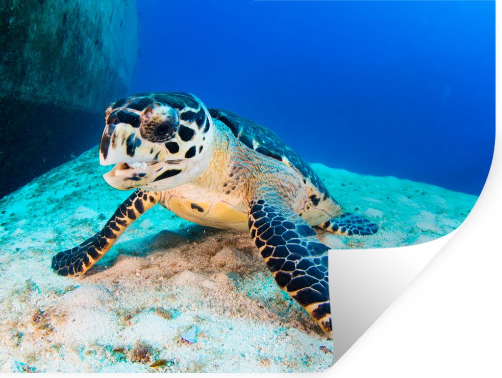 MuchoWow - Aufkleber