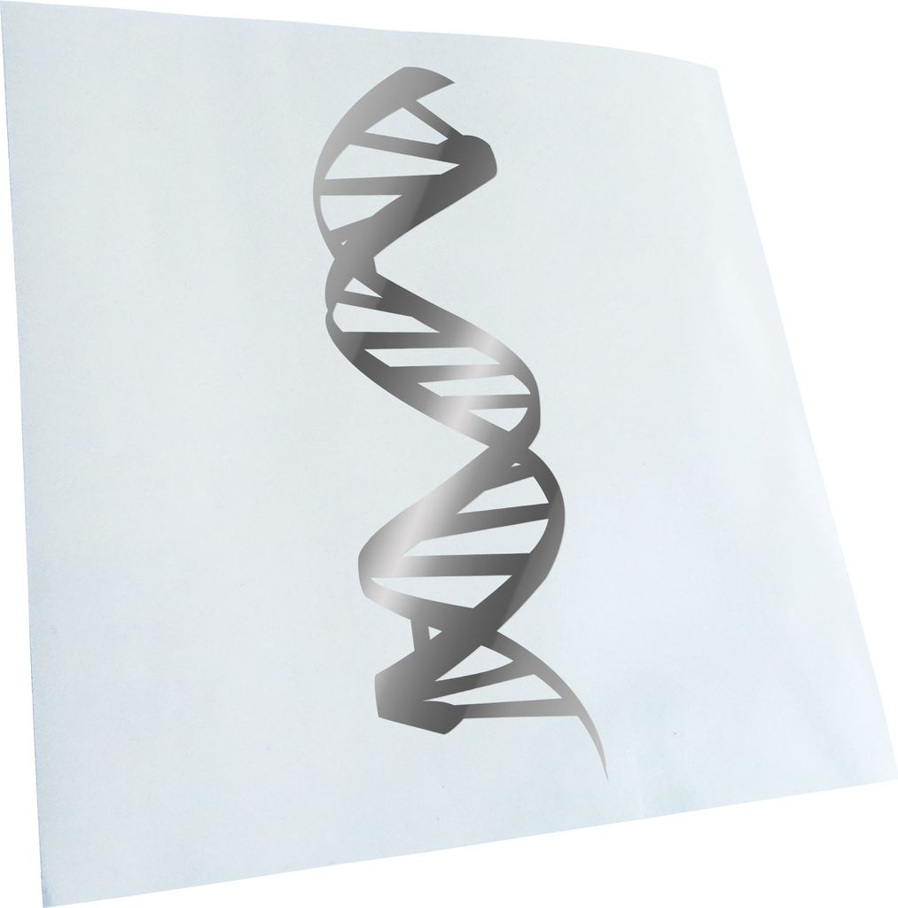 hauptsachebeklebt Kiwistar - Autoaufkleber - DNA-Strang DNS Heckscheibe - Aufkleber für Auto Kfz Fahrrad, LKW, Truck Mofa